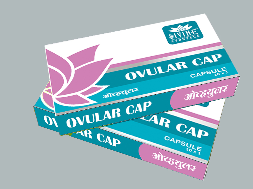 /storage/photos/1/product/Carton Ovular.jpg